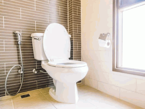Bathroom Toilets